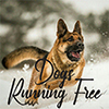 Dogs Running Free Logo
